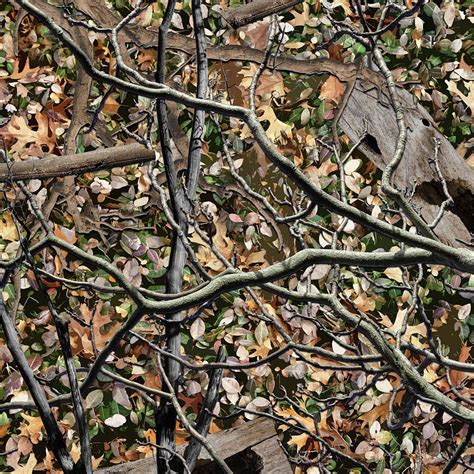 Deer Hunting Camo Patterns