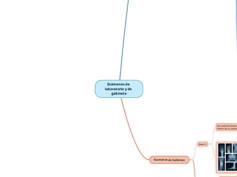 Exámenes de laboratorio y de gabinete Mind Map