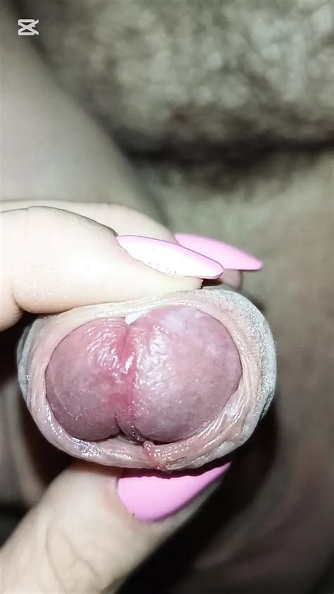 Marchewka I Ogorek W Tylku Meza Free HD Porn XHamster BR