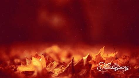 Church Motion Background Thanksgiving Volume Three Motion Backgrounds