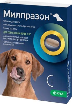 KRKA Милпразон для собак больше 5кг (2 таблетки) Таблетки от глистов ...