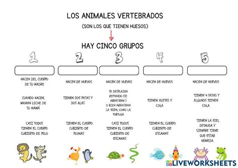 Grupo Vertebrados 7 Letras - Animales vertebrados. grupos worksheet | Live Worksheets