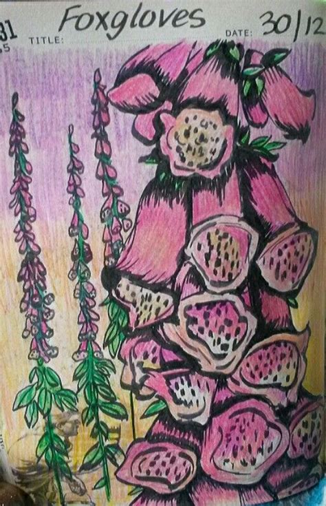 Foxgloves Drawing