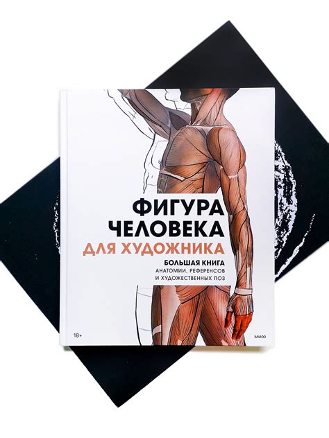 Фигура человека для художника. Большая книга анатомии, референсов и ...