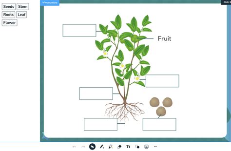 Join Nearpod: 7 Ways It'll Change Your Teaching FOREVER! Image 4