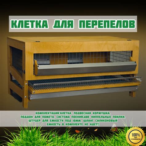 Клетка для перепелов КП-40 Optima купить на OZON по низкой цене ...