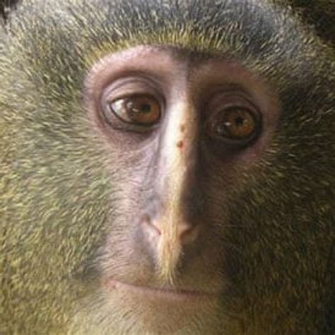 Stream Extra Horny Feat Erotica By Sjw Listen Online For Free On Soundcloud