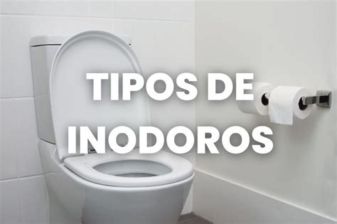 Tipos De Inodoros Diferencias Para La Comodidad Sacosa