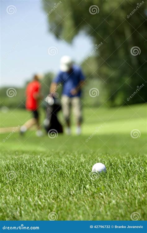 Golf Couse Detail Stock Photo Image Of Outdoors Golfing 42796732