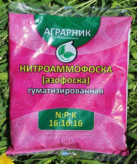 Подкормка помидоров во время плодоношения в теплице и открытом грунте