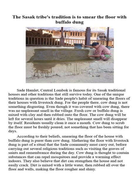 Explanation Text | PDF