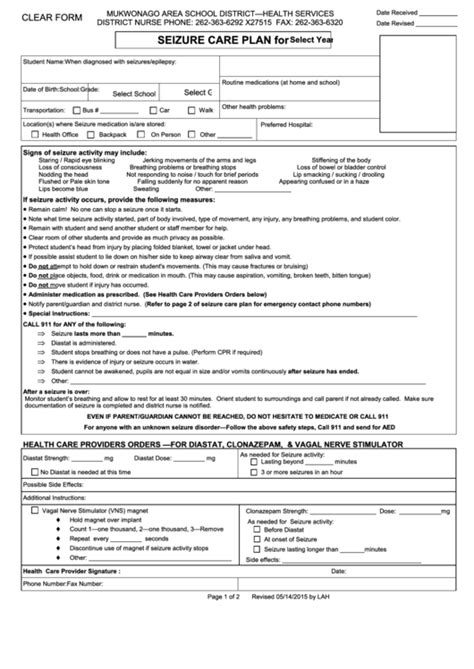 Fillable Seizure Care Plan Form 2015 Printable Pdf Download