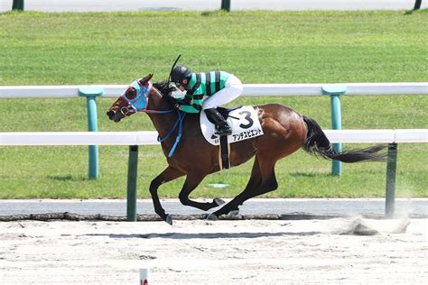 【関東オークス】距離延長不安なし！ アンデスビエントが田口貫太騎手とともに重賞初vだ サンスポzbat