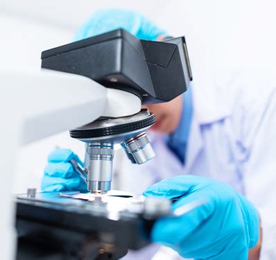 professional scientific technical services eepb innovatax