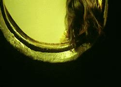 Haunted Vagina Tumblr Tumbex