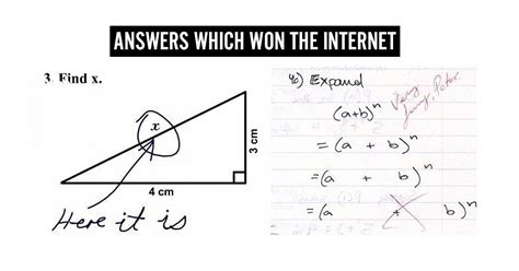 14 Funny Answer Sheets That Deserve Full Marks For Creativity
