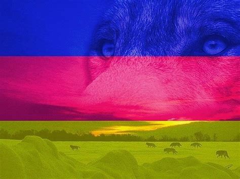 Чей флаг синий красный желтый горизонтально? | Ответы Mail