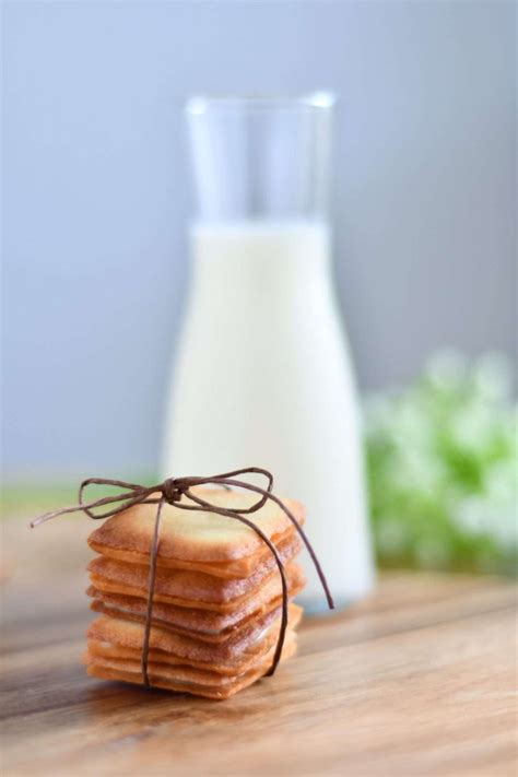 Langue de Chat Cookie Template Mat - Square - Okaimono.sg