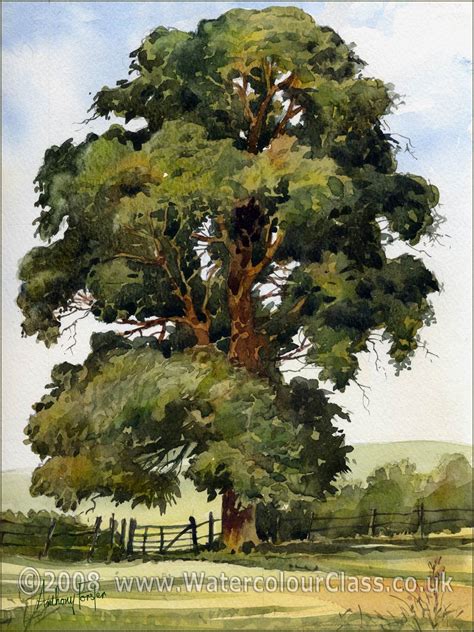 Anthony Forster Art Classes Watercolour Painting Tuition | Watercolor ...