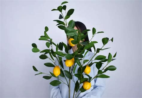 Купить искусственные ветки оптом в Москве