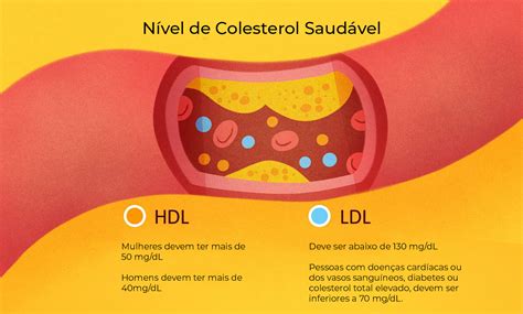 Hdl Colesterol Como Aumentá Lo Dra Raiane Crespo