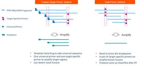 ngs sequencing cleanplex overview paragon genomics