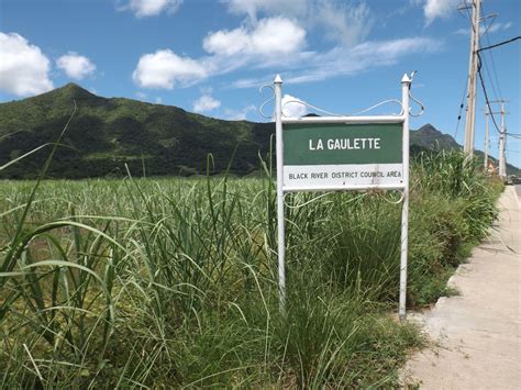 Tri-County Link Route B104: Bus Schedule and Stops 11