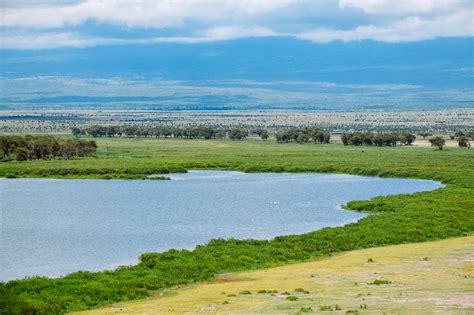 Wildlife and Landscapes at Amboseli National Park - Lyra Aoko Photography