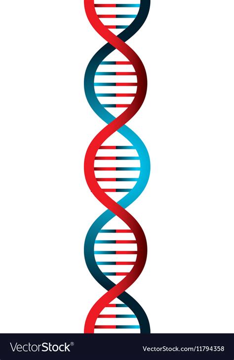 Molecular structure dna Royalty Free Vector Image