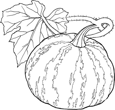 Gourd Coloring Pages at GetColorings.com | Free printable colorings pages to print and color