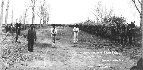 A Texas City Discovered A Mass Grave Of Prison Laborers What Should It Do With The Bodies