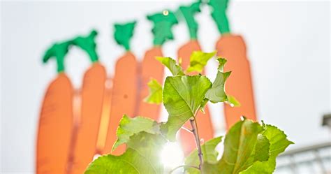 Willkommen bei der Terra Naturkost Handels KG