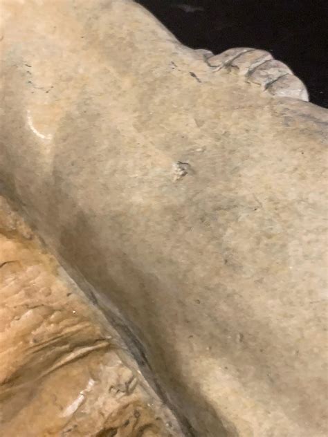 Laura Smith Untitled Nude Figurative Sculpture For Sale At 1stDibs