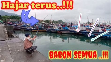 MEMBERONTAK TARIKAN BELANAK BABON DI PELABUHAN INI IKANYA SANGAT