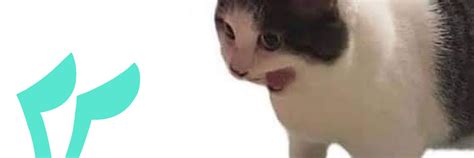 @zyneru.bsky.social on Bluesky