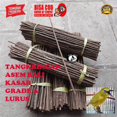 Tangkringan Pangkringan Plangkringan Kayu Asam Asem Bali Kasar Grade A