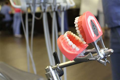 Quiz: Can You Guess These Dental Tools? - Medquest