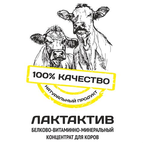 ЛАКТАКТИВ высокопротеиновый концентрат для лактирующих коров 10% от ...