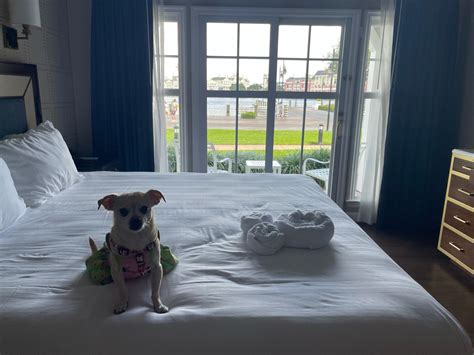 overview for peachy_paige