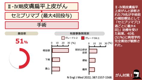 日本がん対策図鑑 【皮膚扁平上皮がん：術前治療（pcr）】リブタヨ