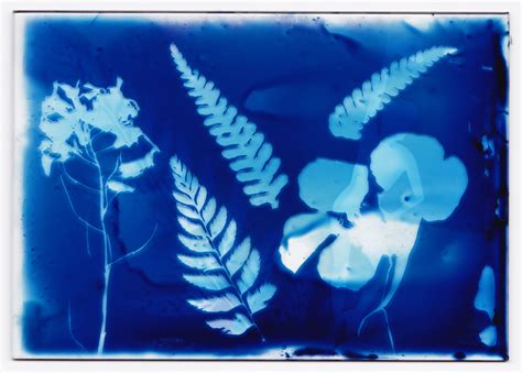Cyanotype process on Glass and Ceramic - Maverick Beyond