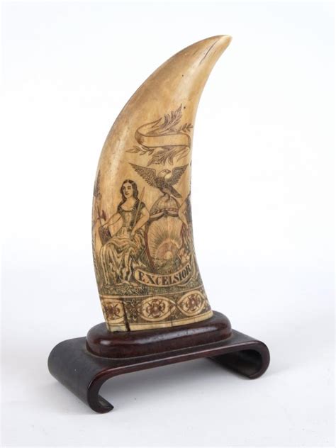 Featured Lots Taxonomy Whale tooth – COPAKE AUCTION INC.