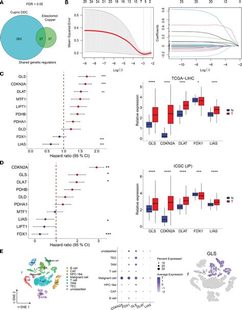 Frontiers Cuproptosis Related Genes Score A Predictor For