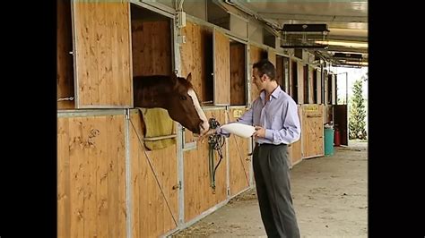 Free Full Length Centoxcentovod P Hd Porn Videos Centoxcentovod Xhamster