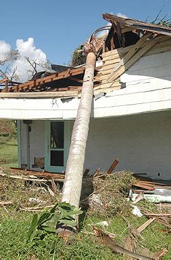 Storms Maintenance Landscape Plants Edward F Gilman Uf Ifas