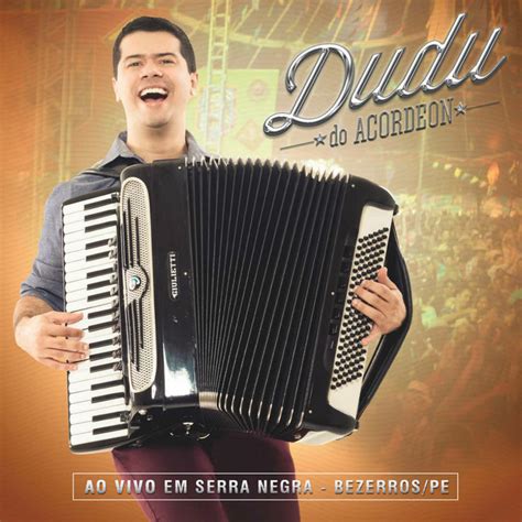 Forr A Dan A Do Dia A Dia Ao Vivo Song And Lyrics By Dudu Do