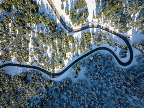 Premium Photo Snow Covered Winding Road Amidst Trees