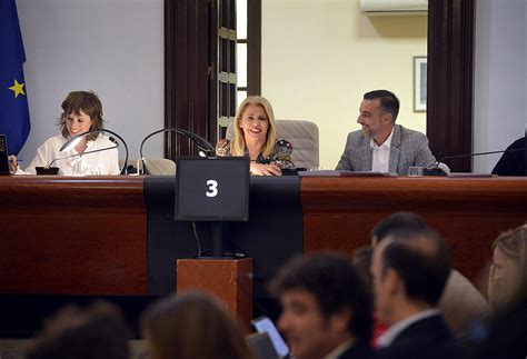 El Pleno Aprueba Cinco Estudios De Detalle Para Posibilitar Nuevas