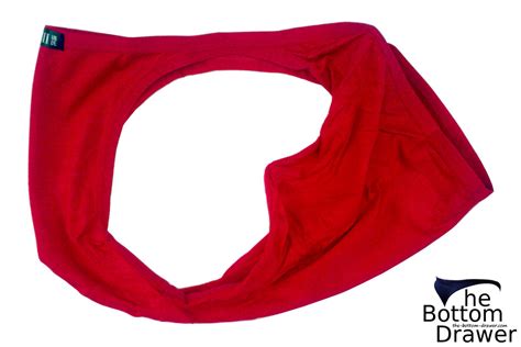 Jinshi Classic Bikini Brief Review The Bottom Drawer