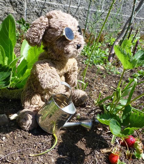 Naked Gardening Day Murr Brewster